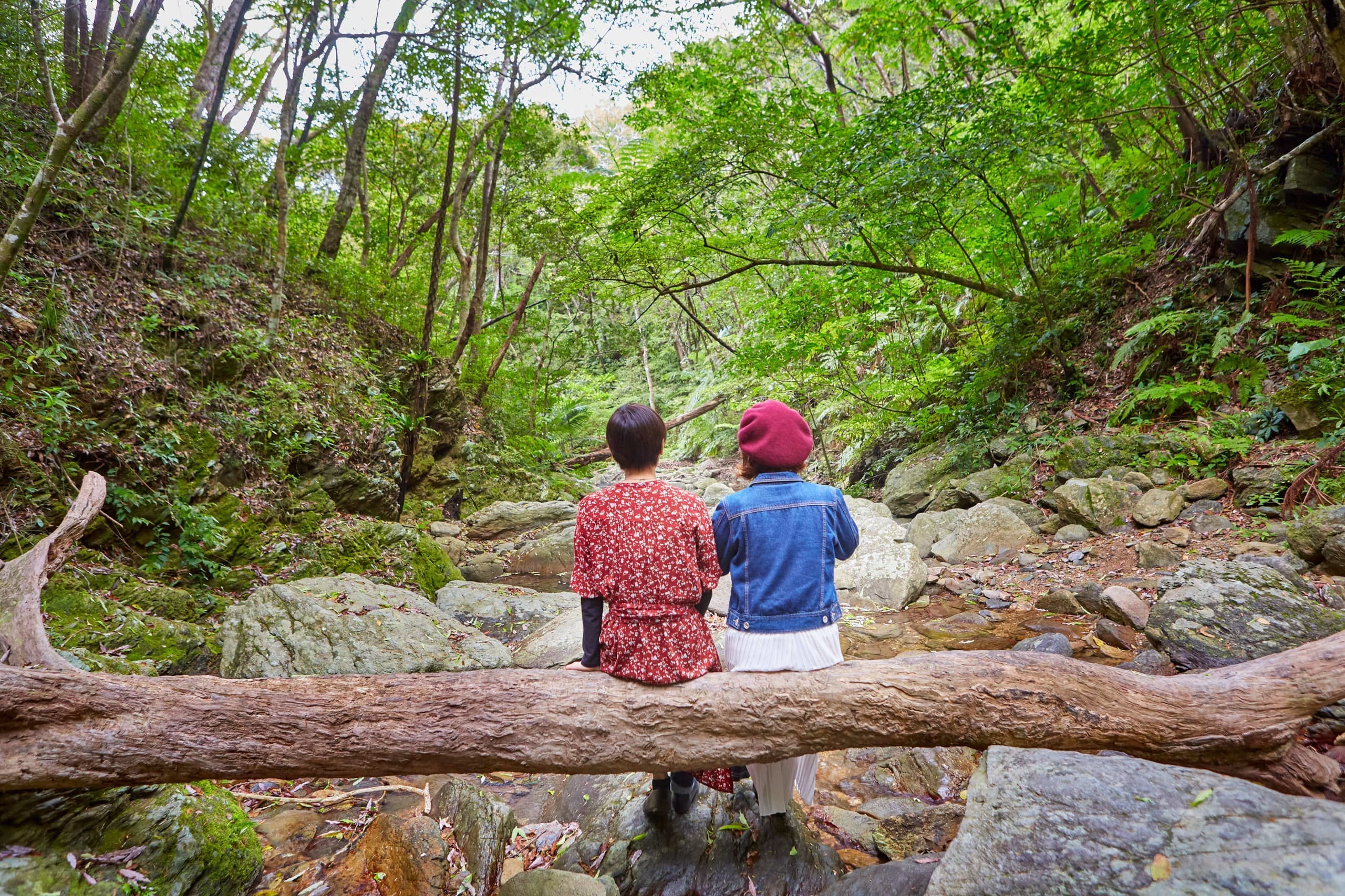 ポートレート撮影